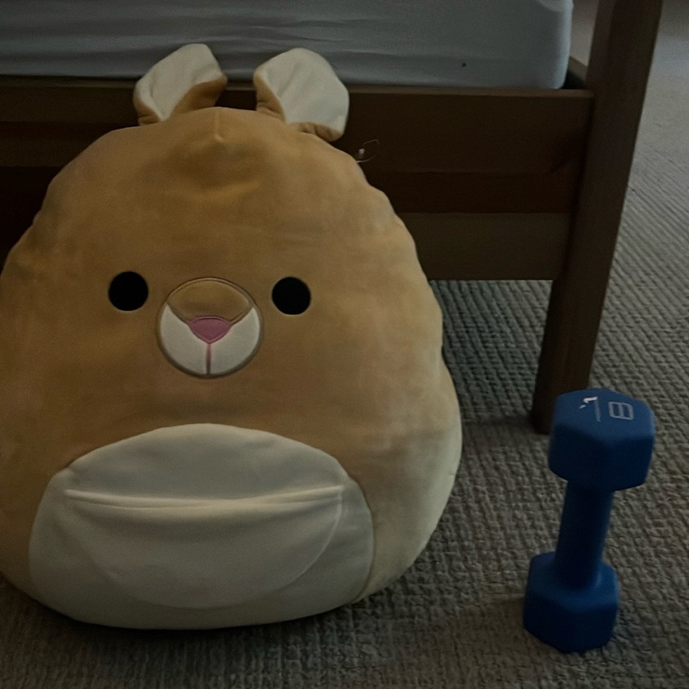 Big Kangaroo squishmellow